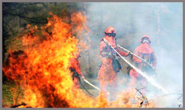 Inner Mongolia Suffer From Three Forest Fire Succesively